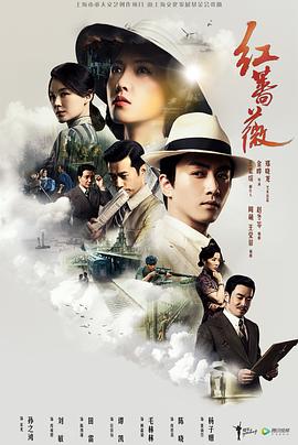 红蔷薇第31集