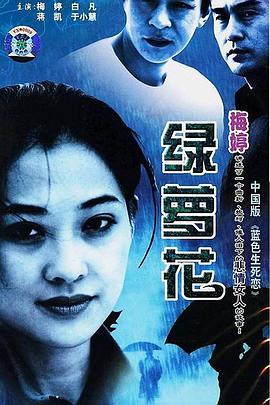 绿萝花第04集