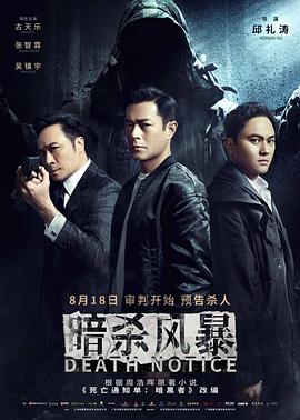 暗杀风暴HD国语中字