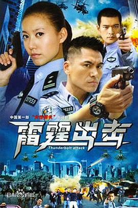 要案组雷霆出击第15集