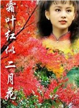 霜叶红似二月花第16集
