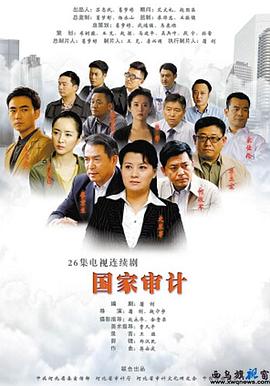 国家审计第08集