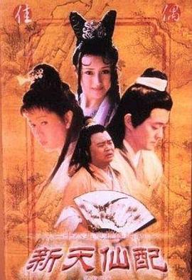 新天仙配第13集