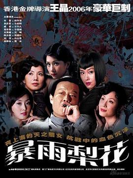 暴雨梨花第04集