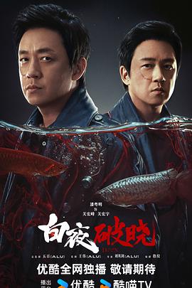 白夜破晓第16集