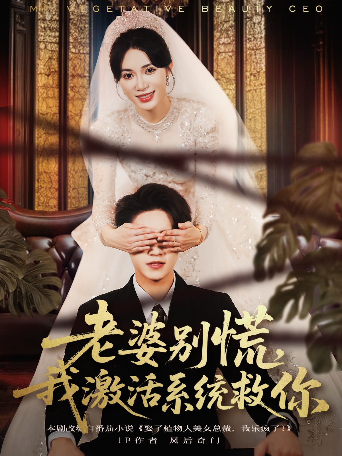 老婆别慌，我激活系统救你(全集)